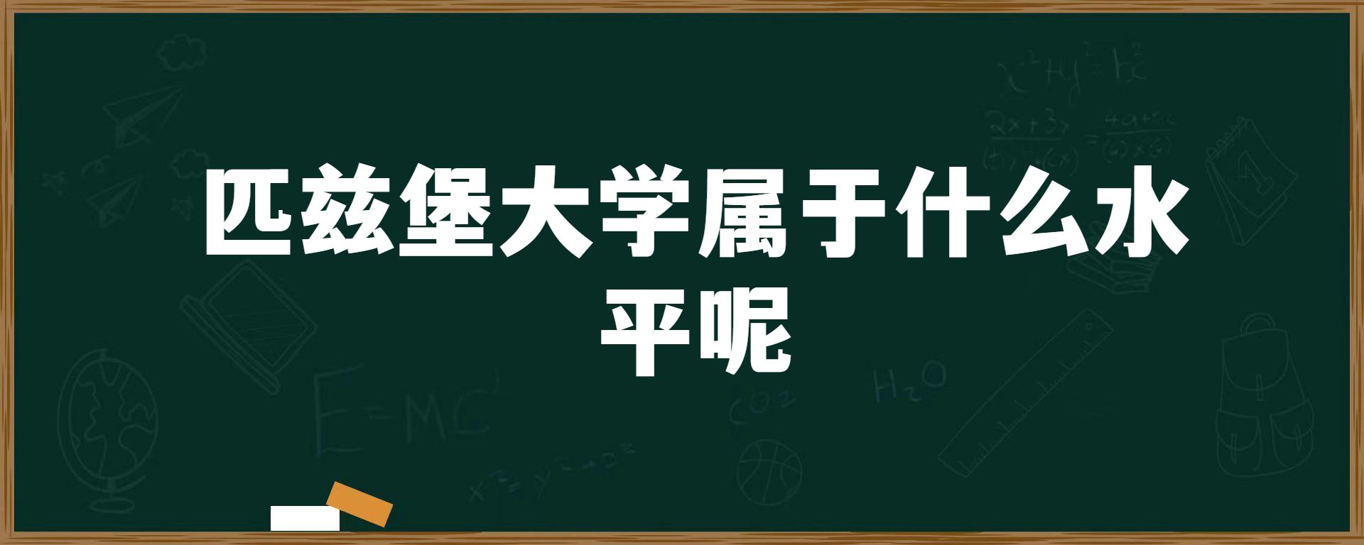 匹兹堡大学属于什么水平呢